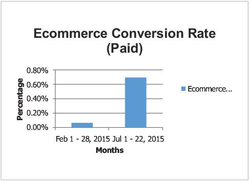 Ecommerce Conversion Rate (Paid)